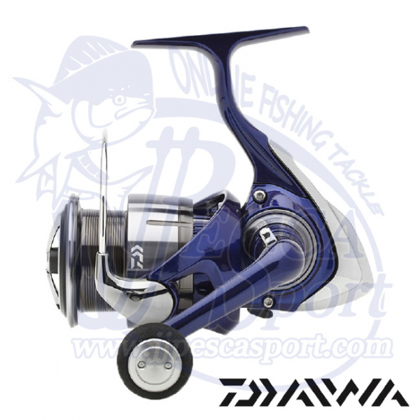 DAIWA TEAM DAIWA R 2024